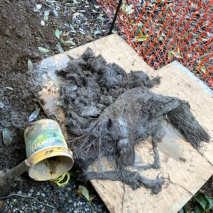 Drain Master Plumbers photo 1