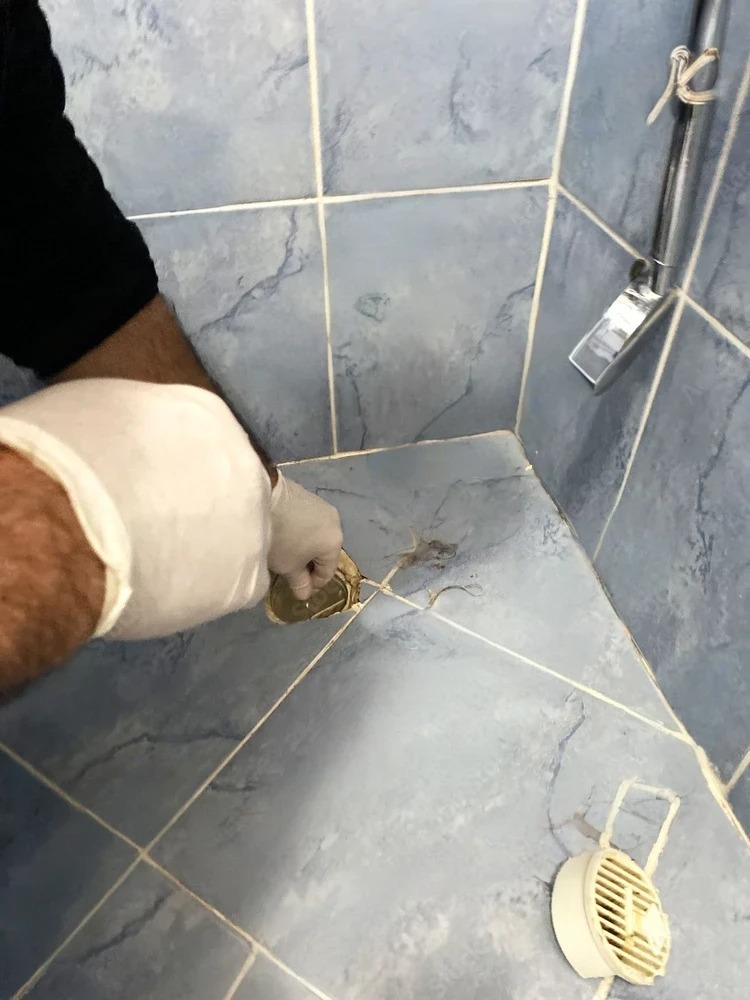 Drain Clearing